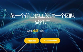 网络技术服务为何面临“未面世即消亡”的尴尬